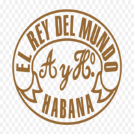 EL Rey Del Mundo