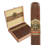 ASHTON VSG SPELLBOUND